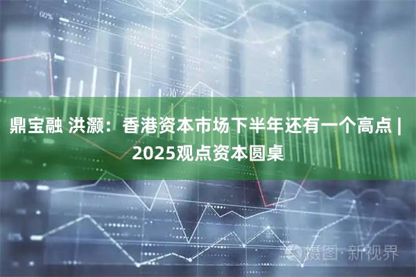 鼎宝融 洪灏：香港资本市场下半年还有一个高点 | 2025观点资本圆桌