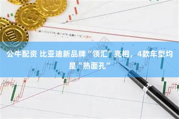 公牛配资 比亚迪新品牌“领汇”亮相，4款车型均是“熟面孔”